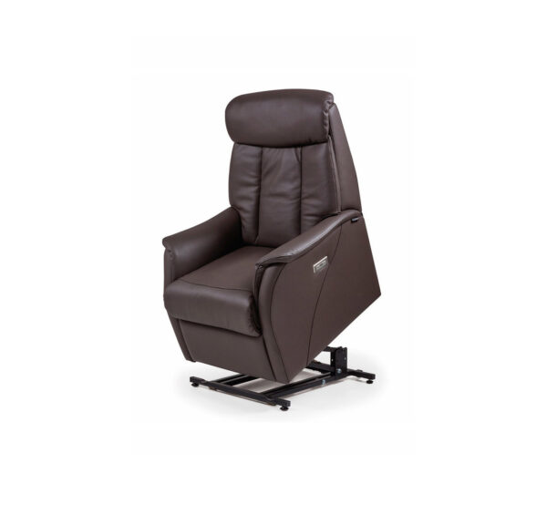 fauteuil releveur eden plus